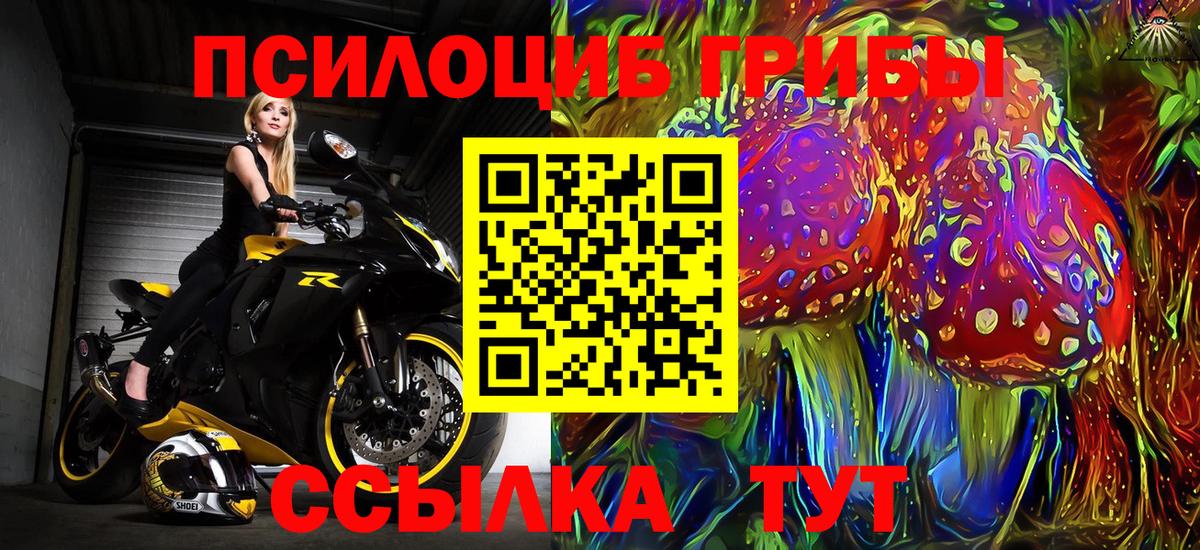 Псилоцибиновые грибы Cubensis Хасавюрт